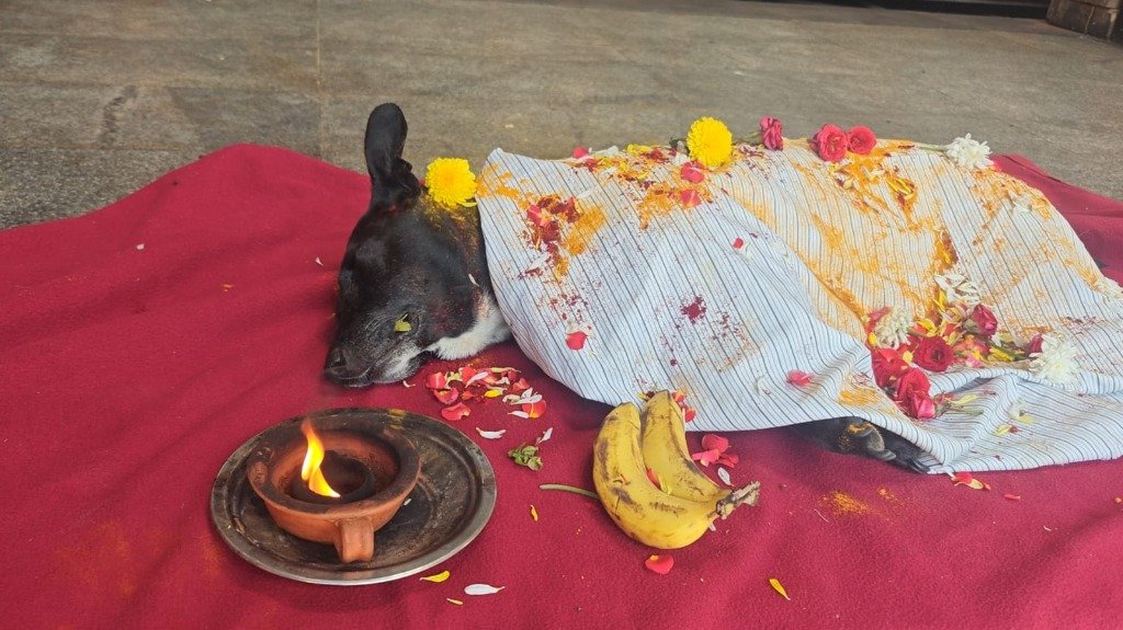 Pet funeral ritual with traditional flowers and diya — Balaji Pets Funeral Services Bengaluru